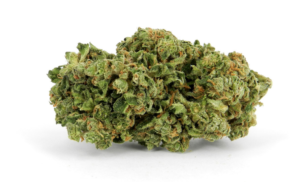 Stock Marijuana Bud 