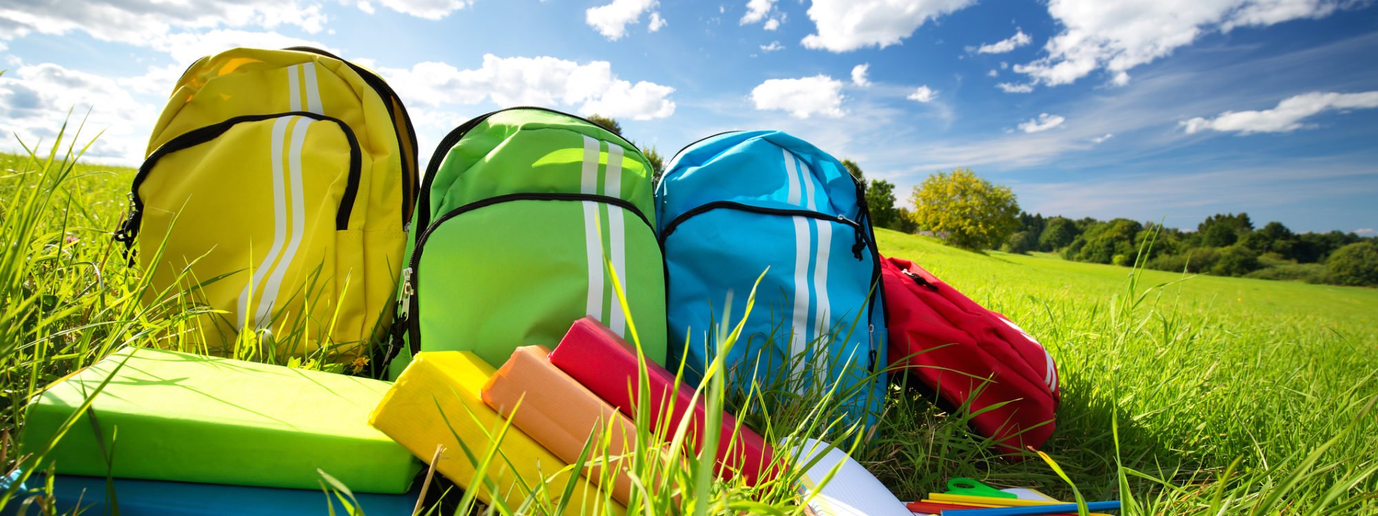 Group of colourful backpacks in a grassy meadow on a sunny day