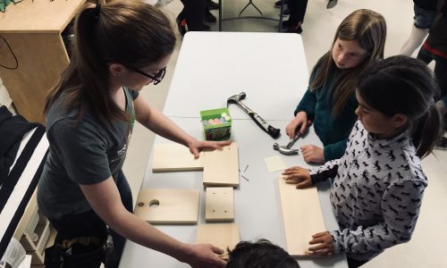 student building a bird house