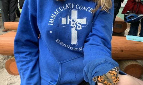 student holding butterfly