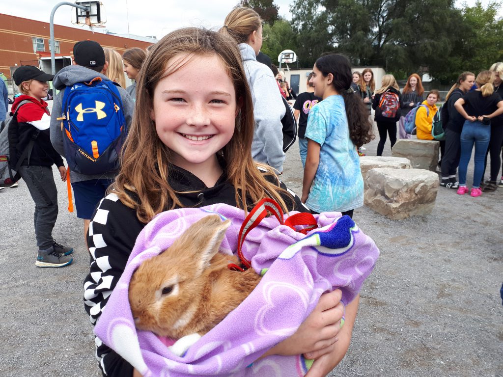 girl holding a bunny