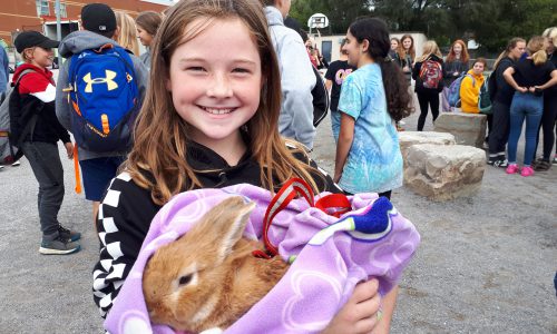 girl holding a bunny