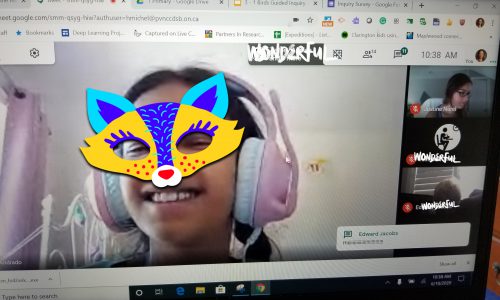 Screen Grab of a student's Deep Learning Online Project