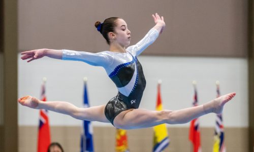 Ava Stewart Gymnastic Team