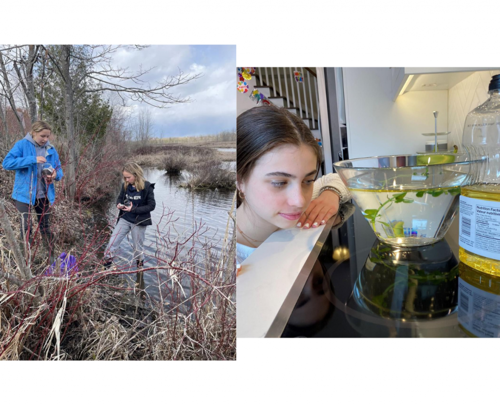 Five Peterborough students advance to Canada-Wide Science Fair