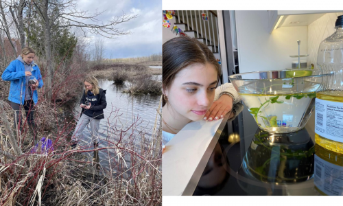 Five Peterborough students advance to Canada-Wide Science Fair