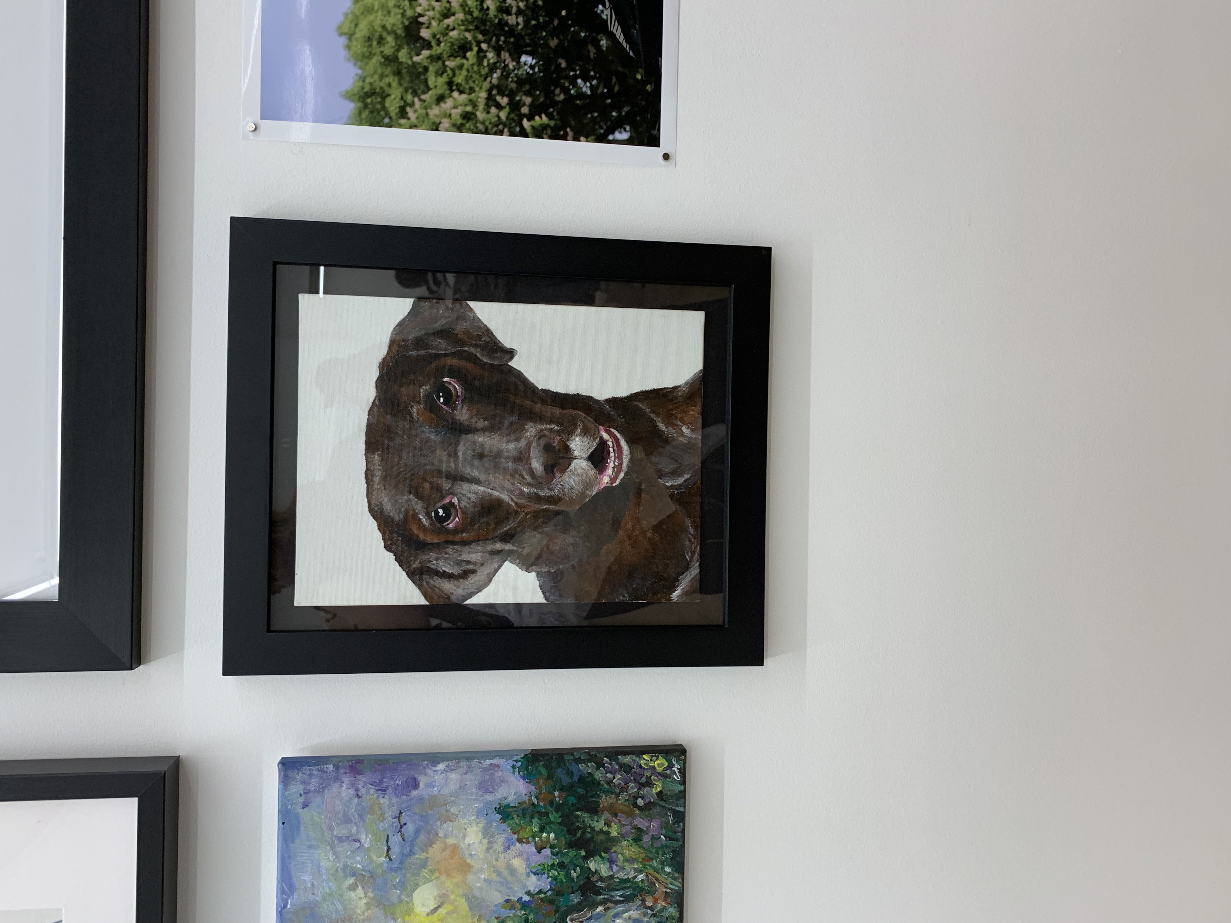 Paige Rayne, Moose the Lab, 2021, acrylic on canvas