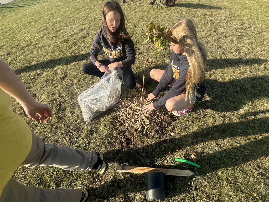 STACSS Tree Planting