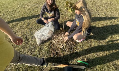 STACSS Tree Planting