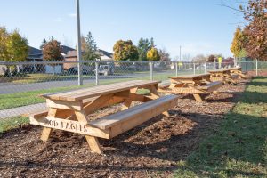 Photo of picnic benches in MOD outdoor classroom