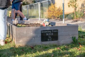 Garden beds created by students in the Holy Cross Construction SHSM program.