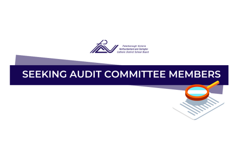 seeking audit committee members