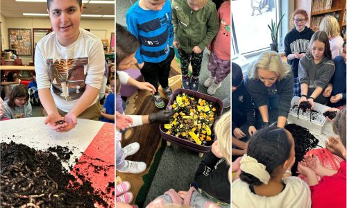 Three photos of children learning about worms and compost.