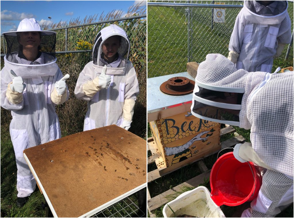 Photos of students wearing beekeeper protection while tending to a hive.