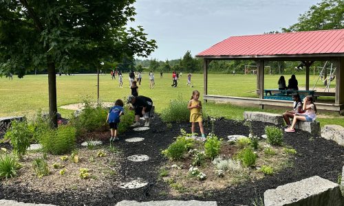 Children playing in green space in school yard.