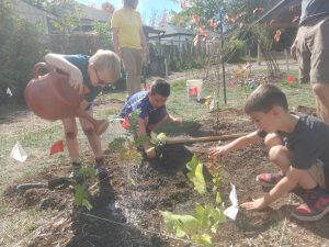 Three students work together to water plants at a school.